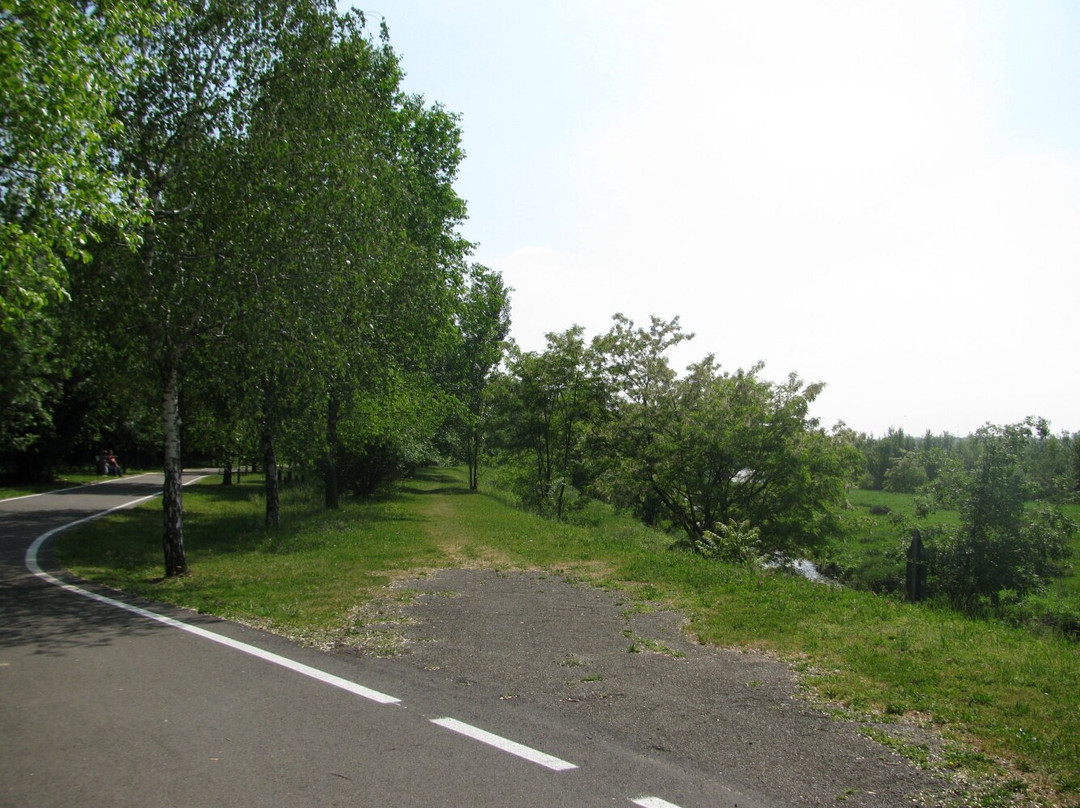 Parco Giovanni Callioni景点图片