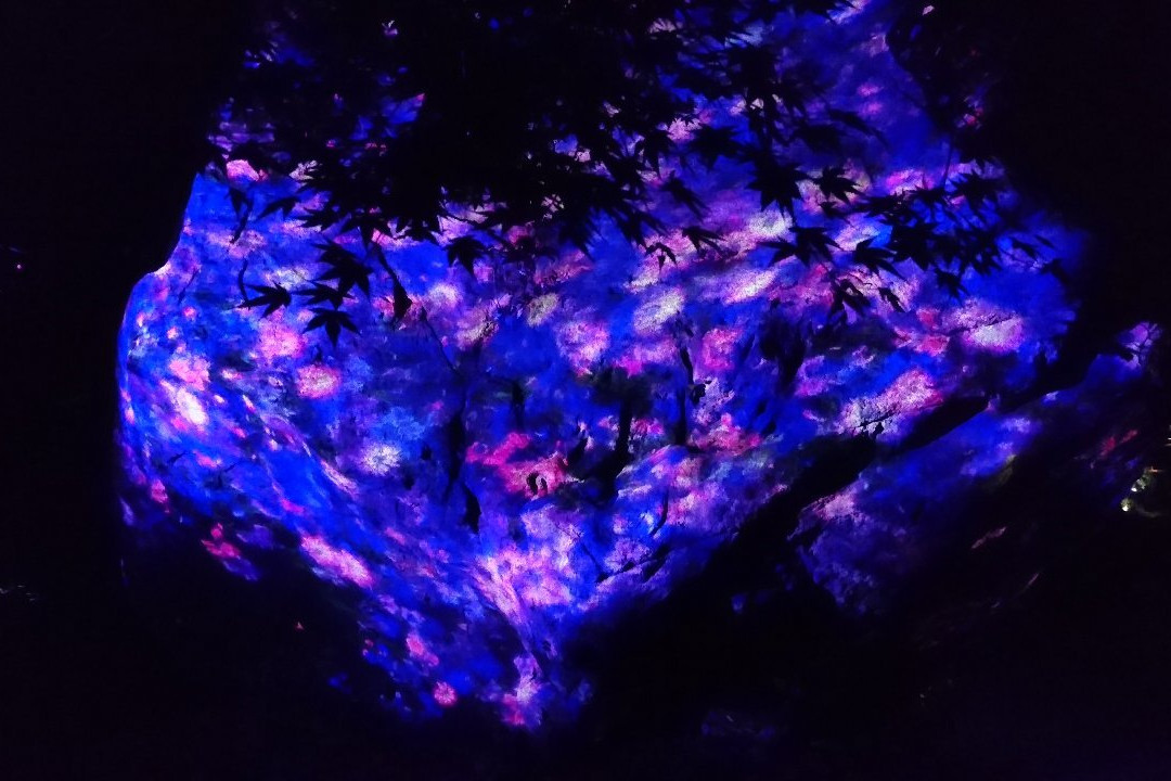 teamLab: A Forest Where Gods Live-武雄市必去景点