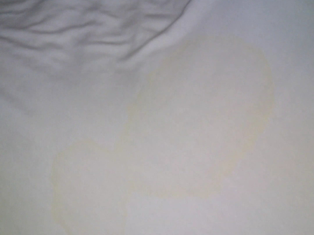 Sportsman's Inn主图