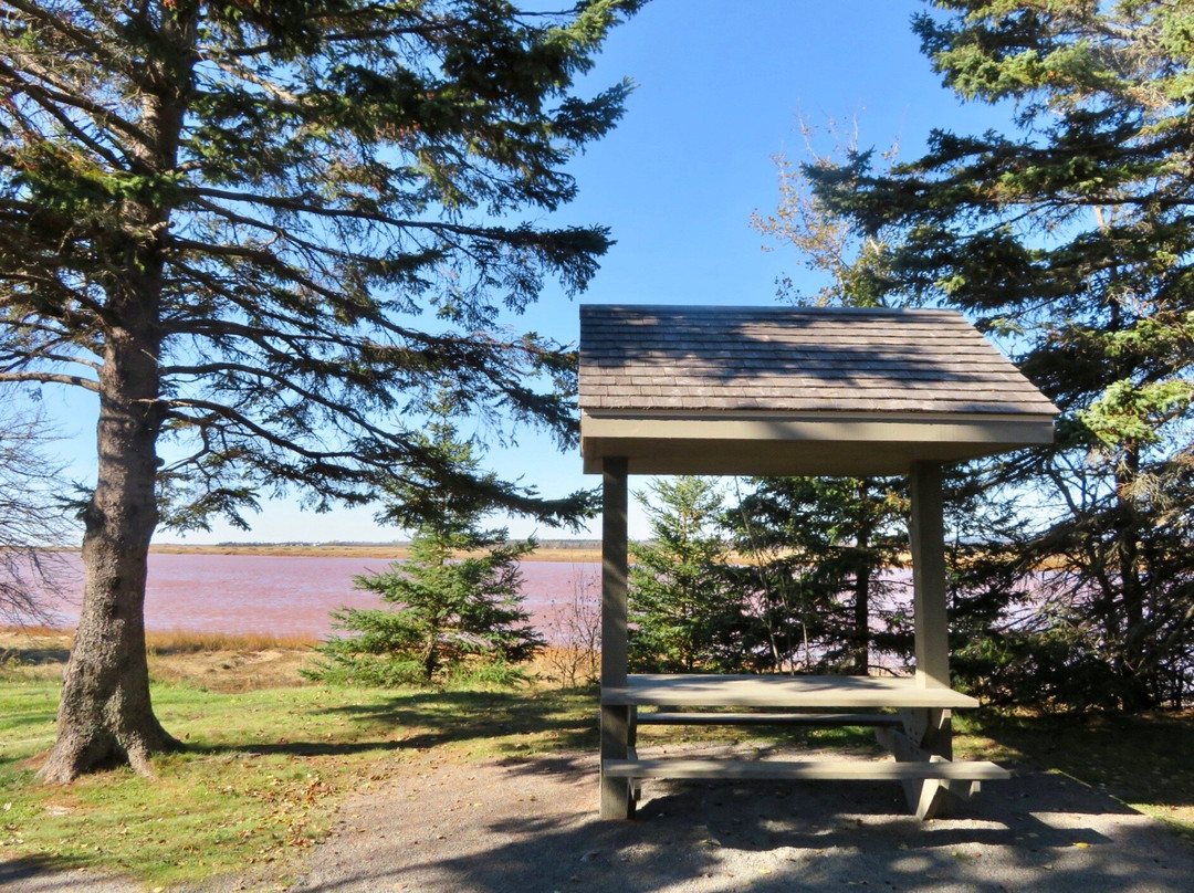 Cobequid Trail景点图片