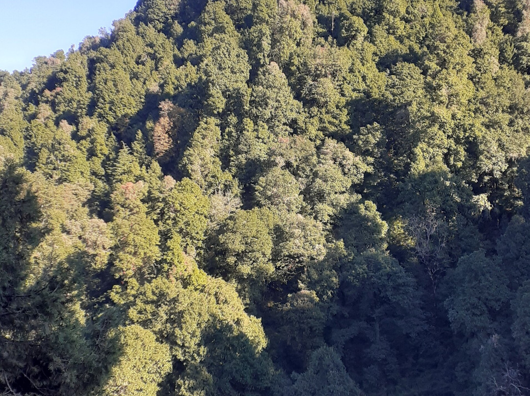 Maya Regency Hotel主图