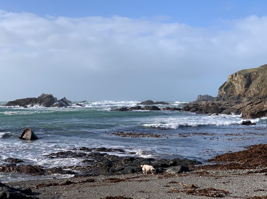 The Lizard RNLI Lifeboat Station-Lizard必去景点