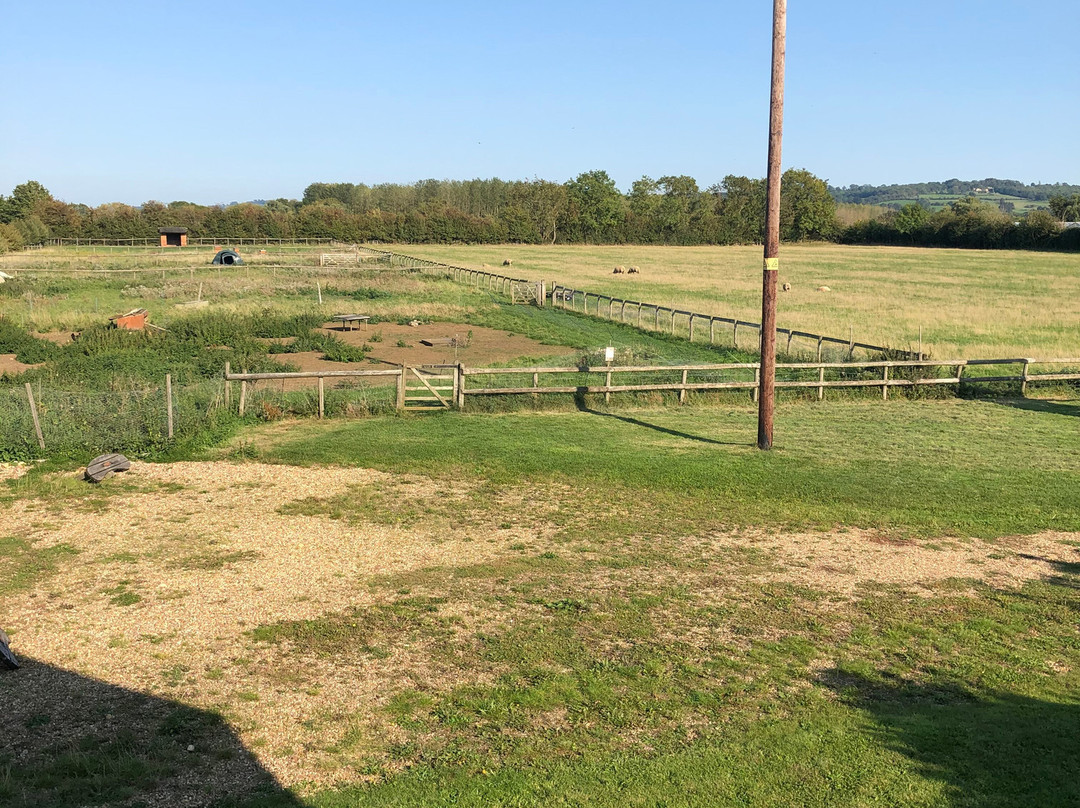 Lowerfield Farm Bed and Breakfast主图