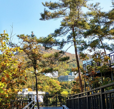 Gwanaksan Mountain-首尔必去景点