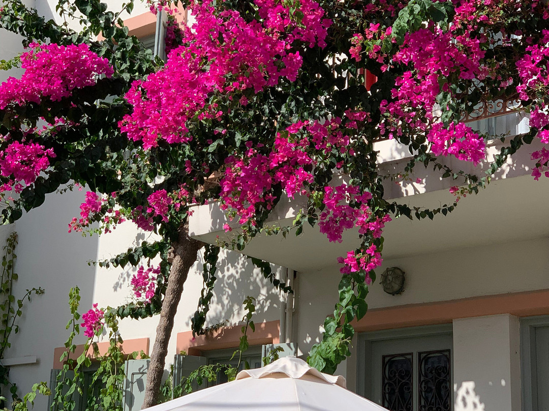 Nissia Kamares Hotel Apartments主图