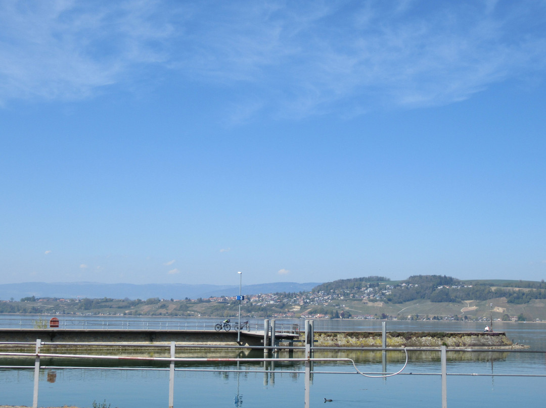 Chemin du lac de Morat-Murten必去景点