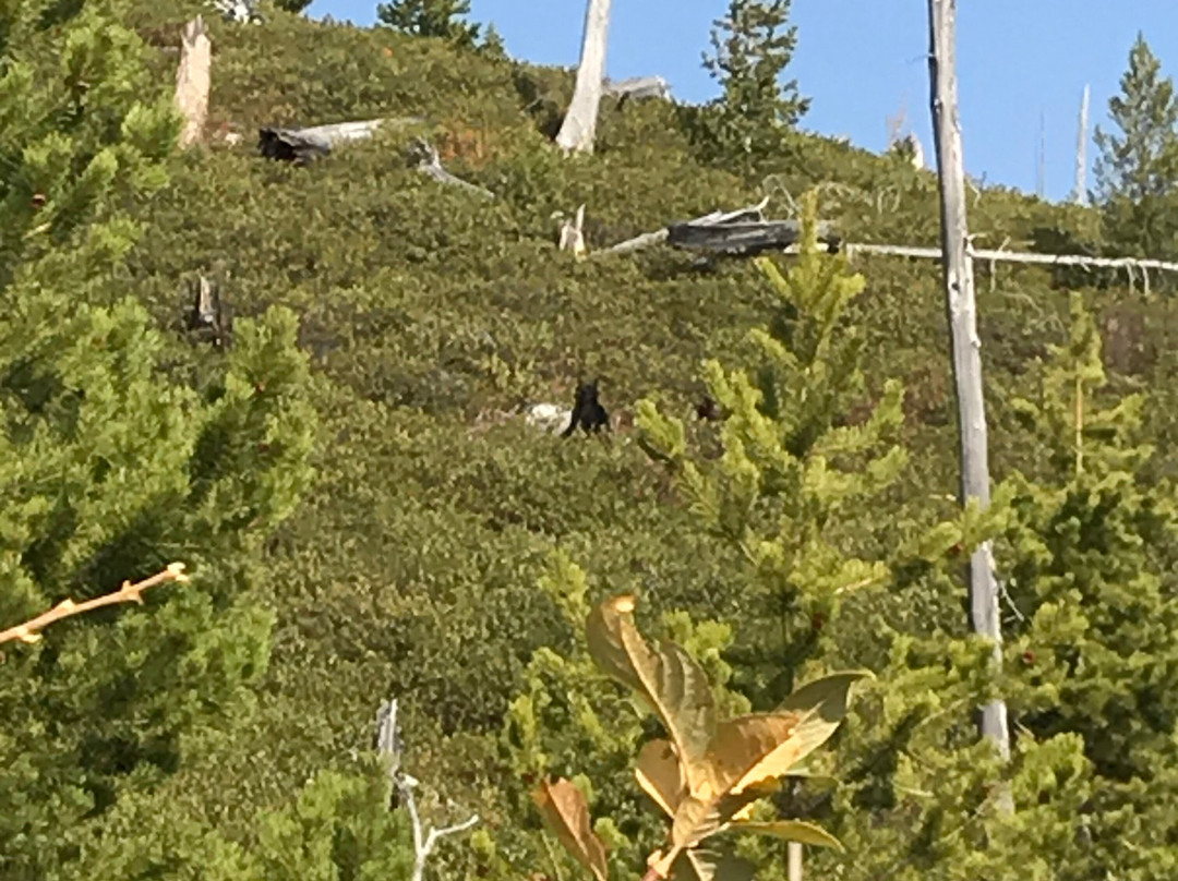 Hidden Falls-大提顿国家公园必去景点