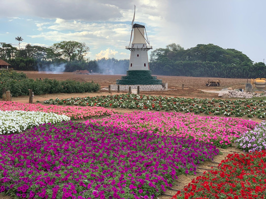 Real Receptivo Holambra-Holambra必去景点