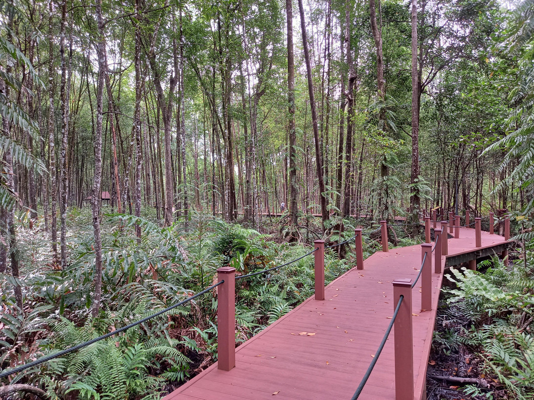 Matang Mangrove Eco-educational Centre (mmec)