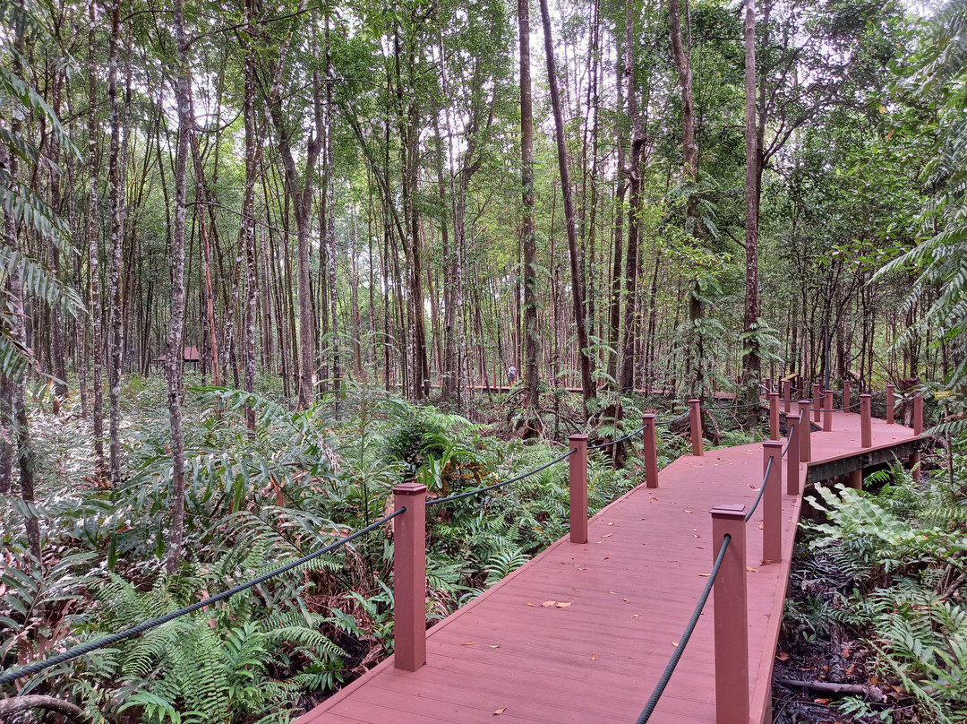 Matang Mangrove Eco-educational Centre (mmec)景点图片
