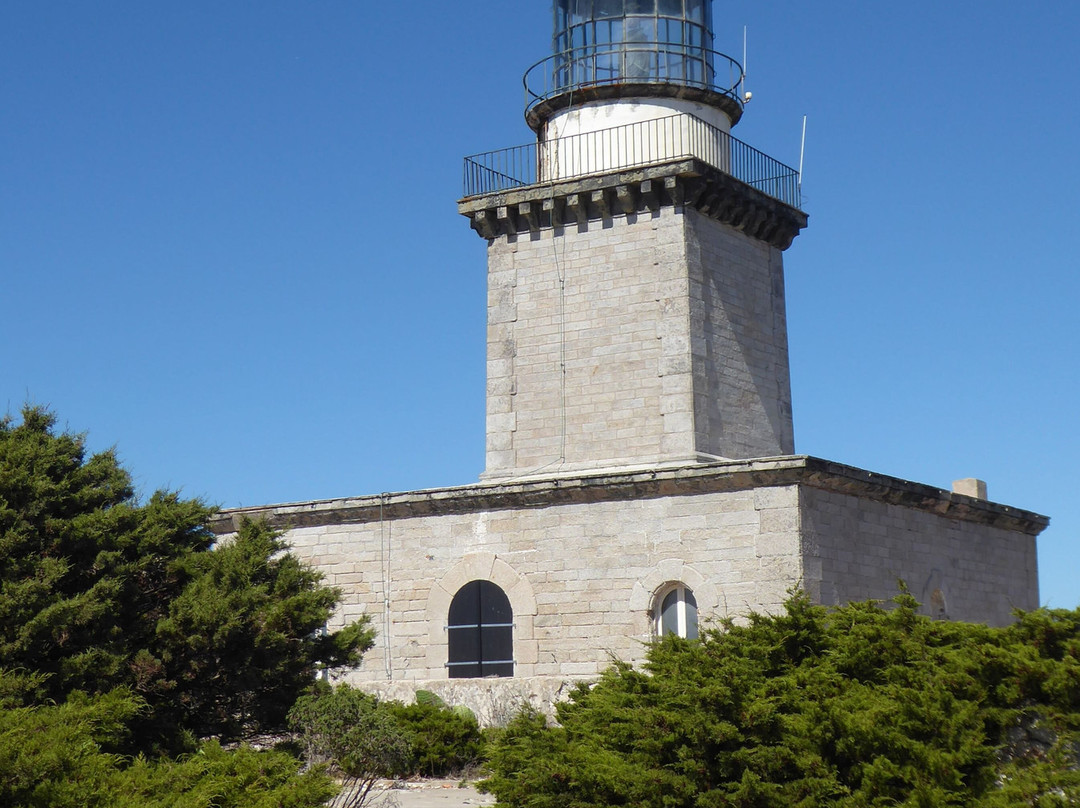 Phare de Pertusato景点图片