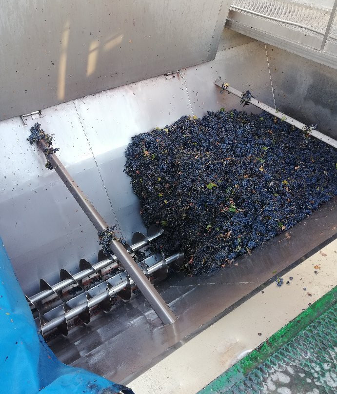 Bodegas Castaño-Yecla必去景点