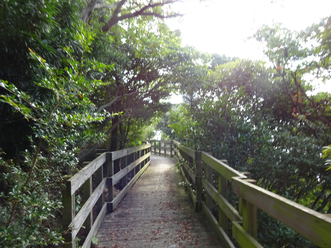 Oishi Park景点图片