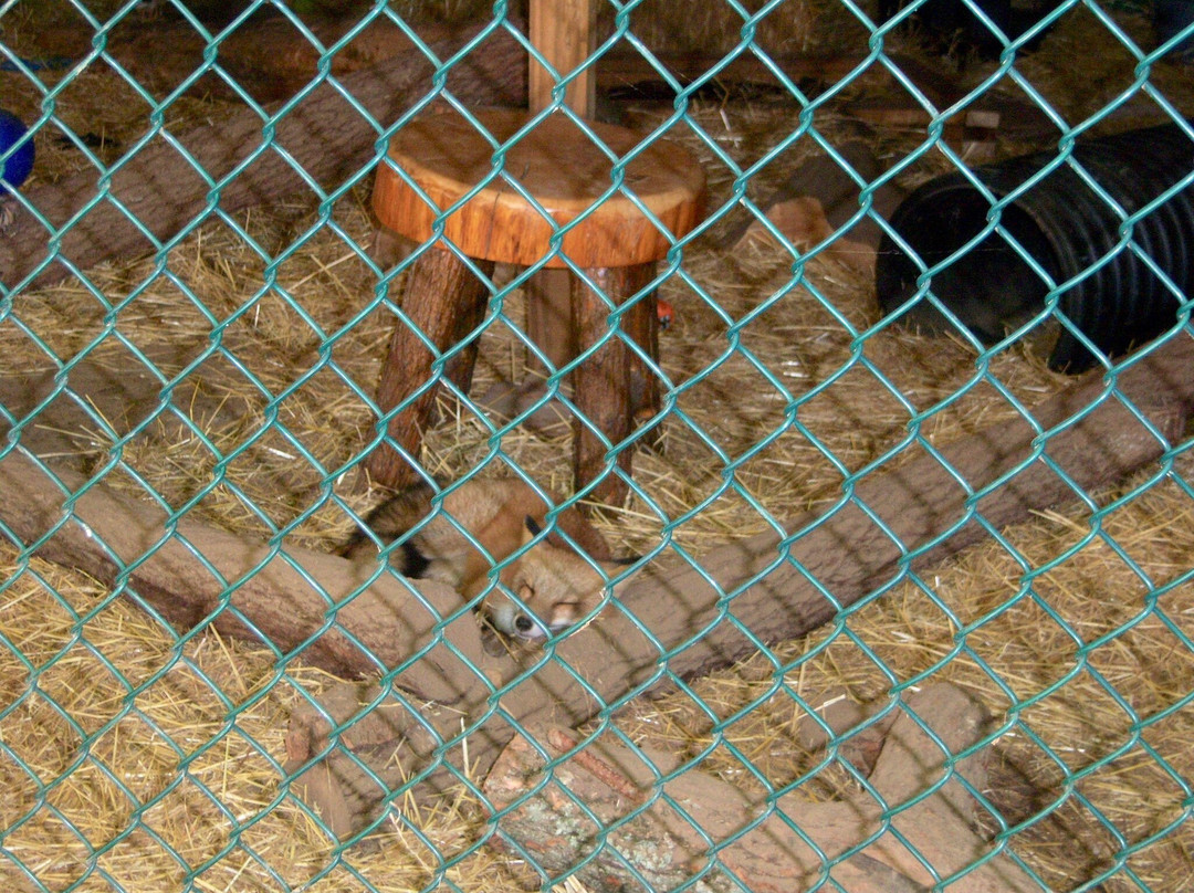 Wild Wings-Honeoye Falls必去景点