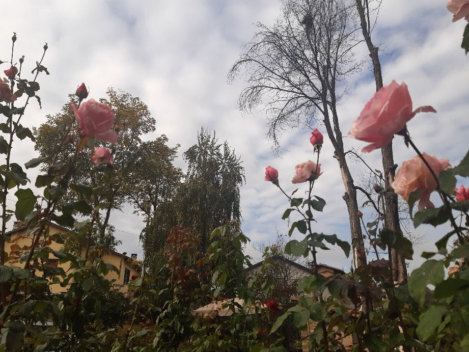 Agriturismo Cascina Monchiero主图