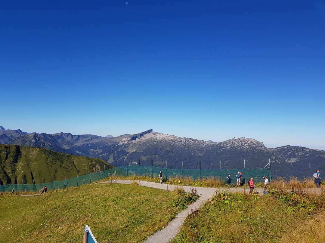 Fellhorn / Kanzelwandbahn景点图片