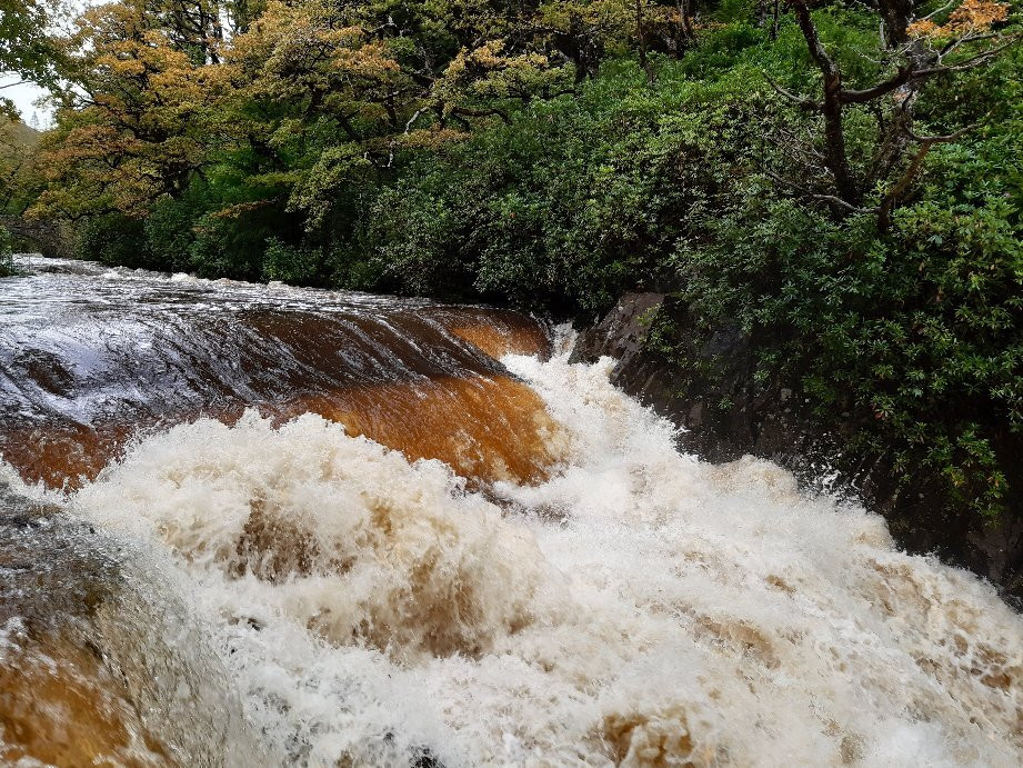 Coed y Brenin Forest Park景点图片