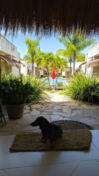 Oasis Tajaja Pousada主图