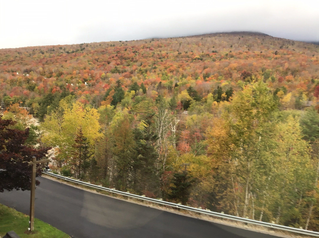 The Mountain Club on Loon主图