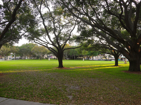 North Straub Park-圣彼德斯堡必去景点