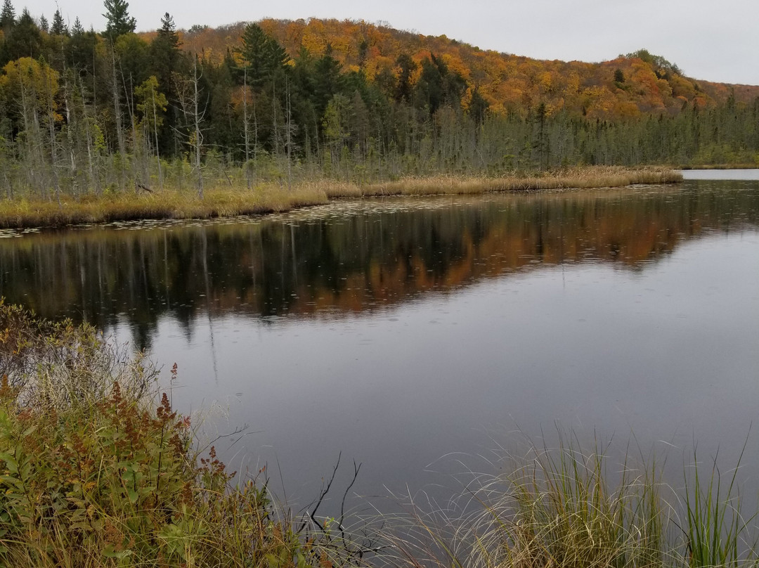 Outdoor Adventures ATV-South River必去景点