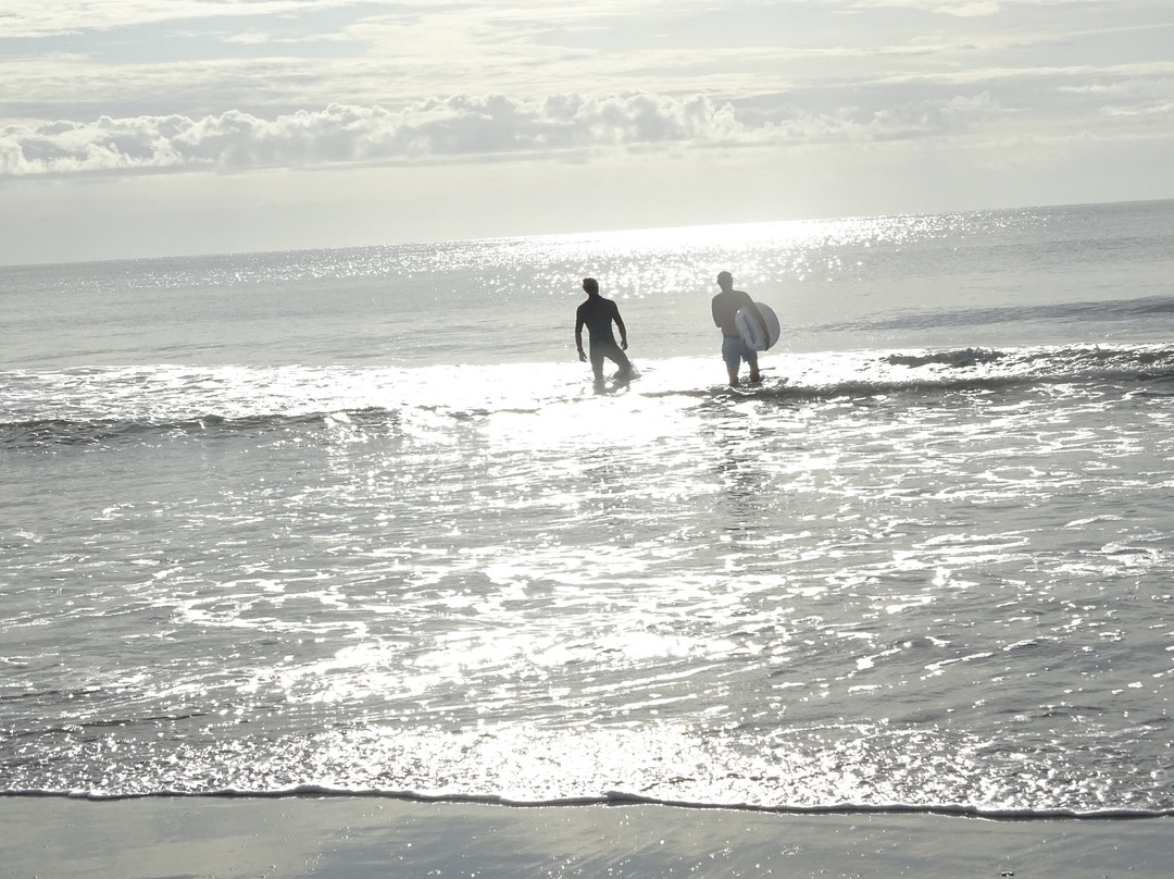 Eternal Wave Surf Shop-Surfside Beach必去景点