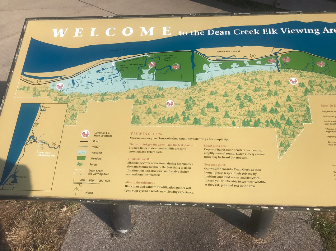 Dean Creek Elk Viewing Area景点图片
