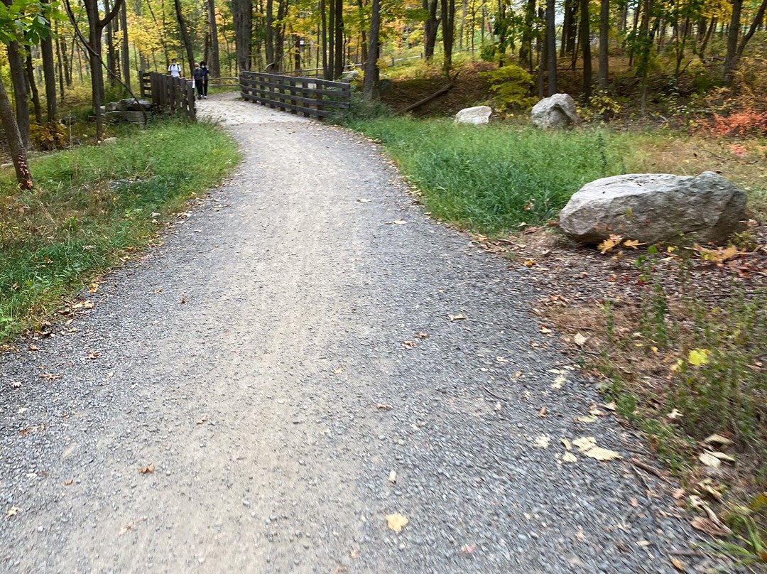River to Ridge Trail-新帕尔茨必去景点