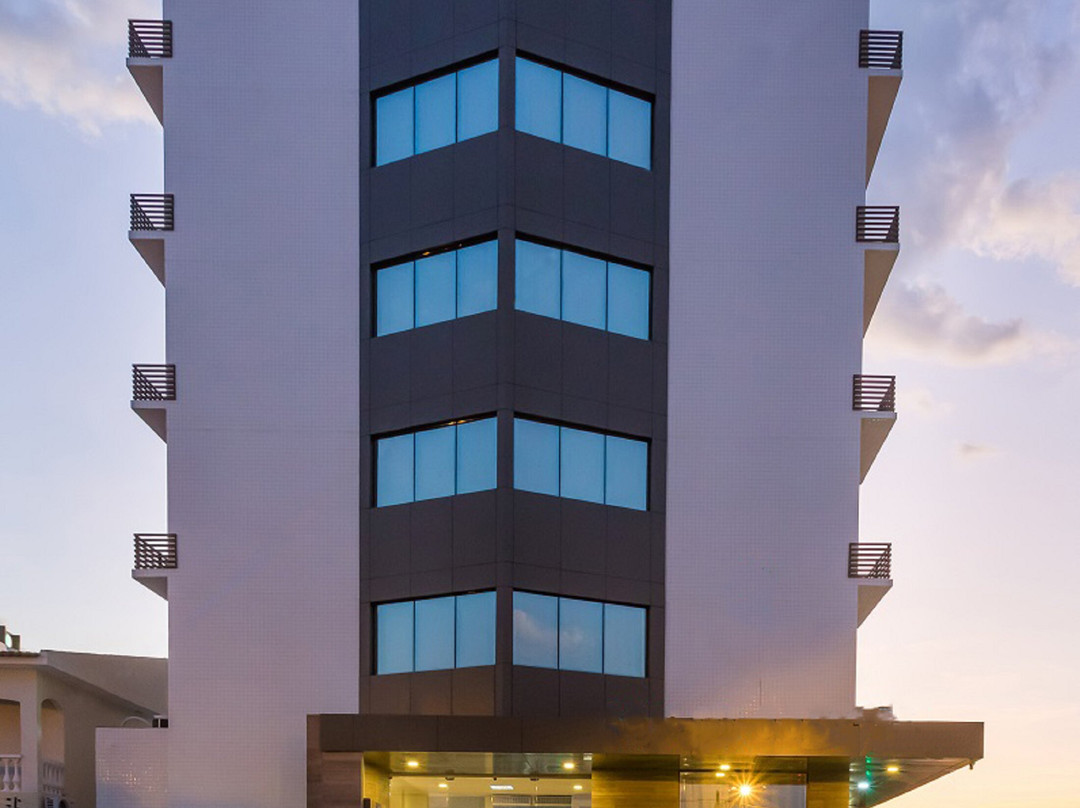 Nord Easy Patos主图