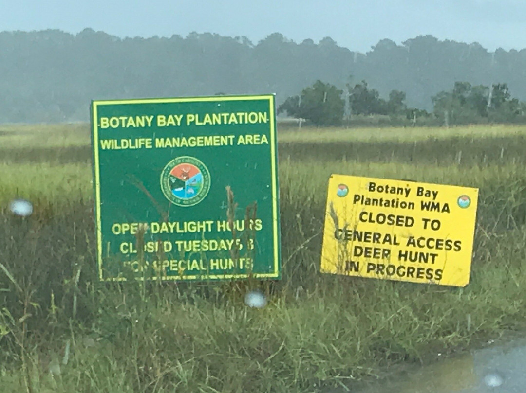 Botany Bay Plantation Heritage Preserve/ Wildlife Management Area景点图片