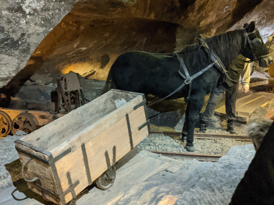 Krakow Tours by KrakowDirect-克拉科夫必去景点