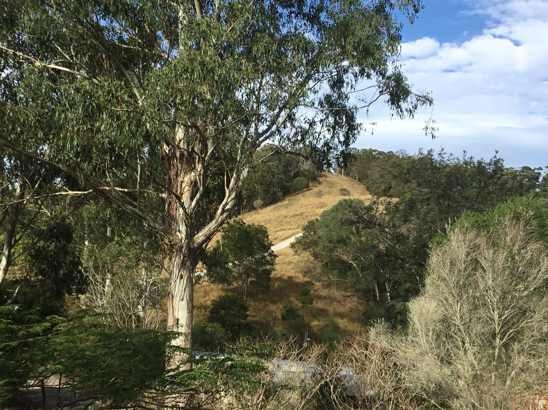 Amamoor Homestead主图