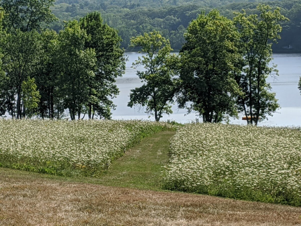 David Robbins Homestead-餐饮