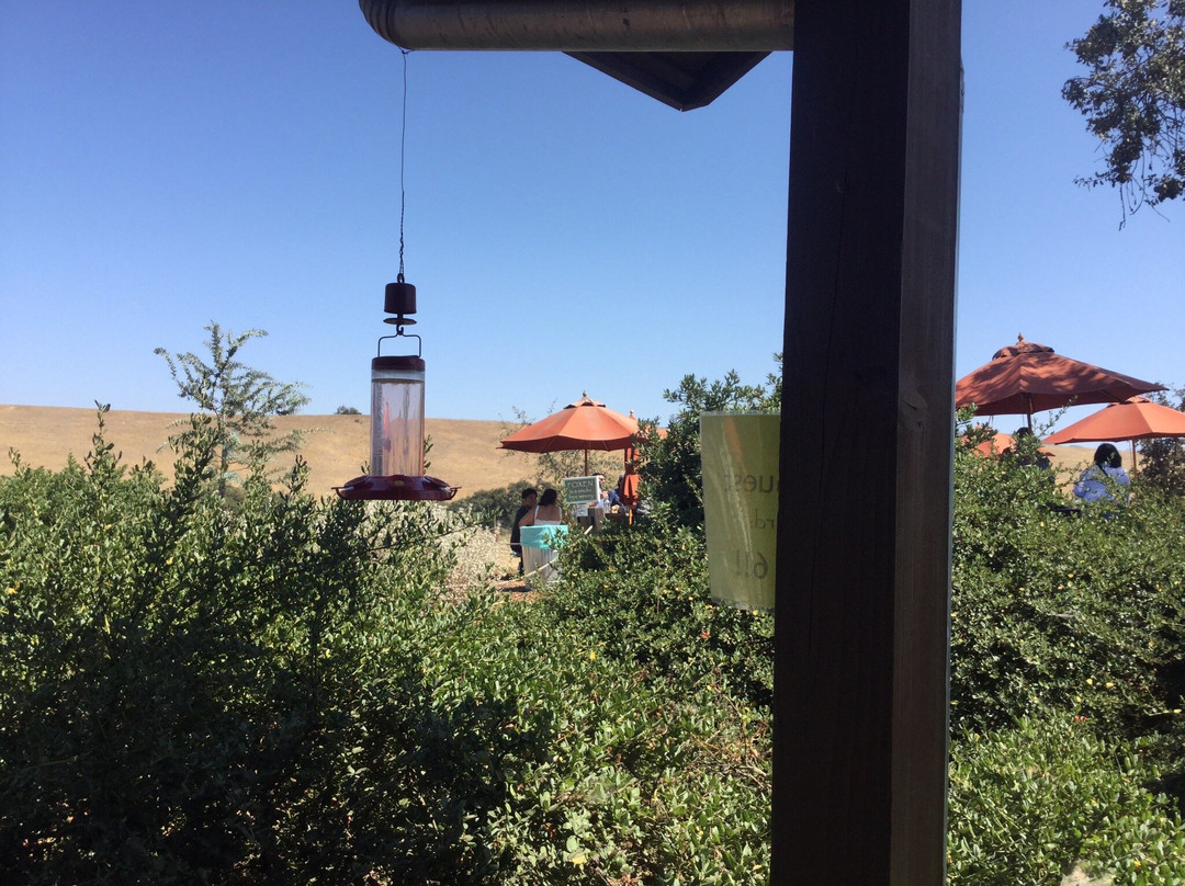 Foxen Vineyard-圣玛丽亚必去景点