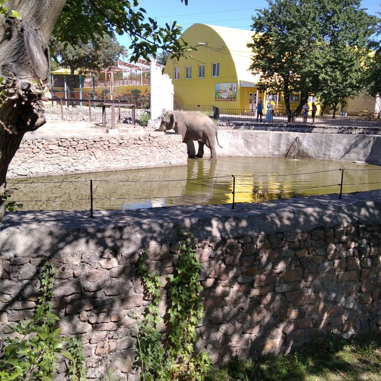 Nikolaev Zoo-Mykolaiv必去景点