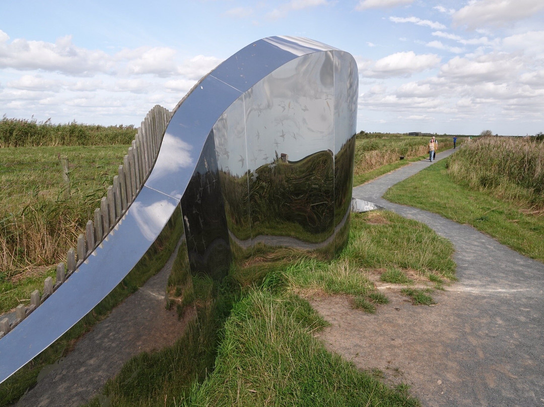 RSPB Freiston Shore-Freiston必去景点