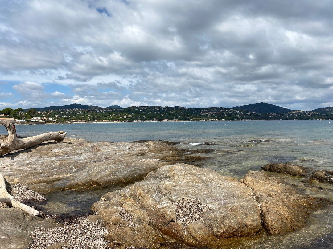 Pointe des Sardinaux景点图片