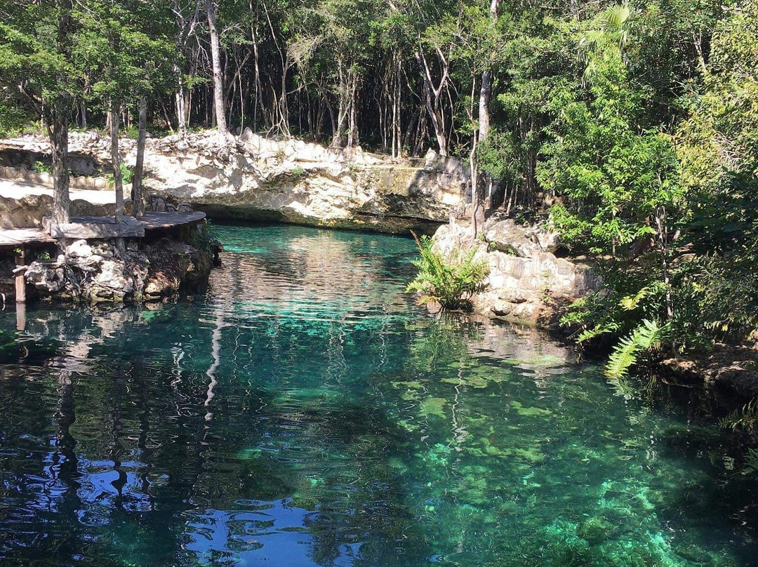 Cenotes Casa Tortuga-图伦必去景点