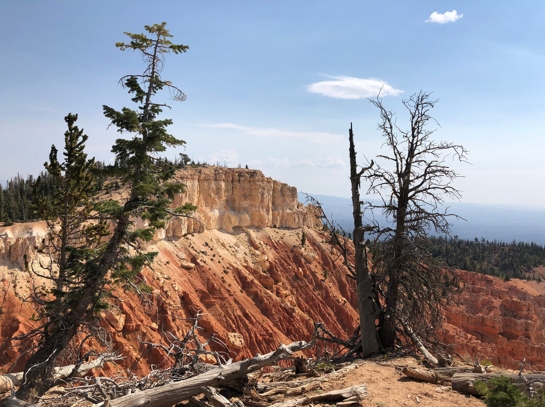 Bristlecone Loop-布莱斯峡谷国家公园必去景点