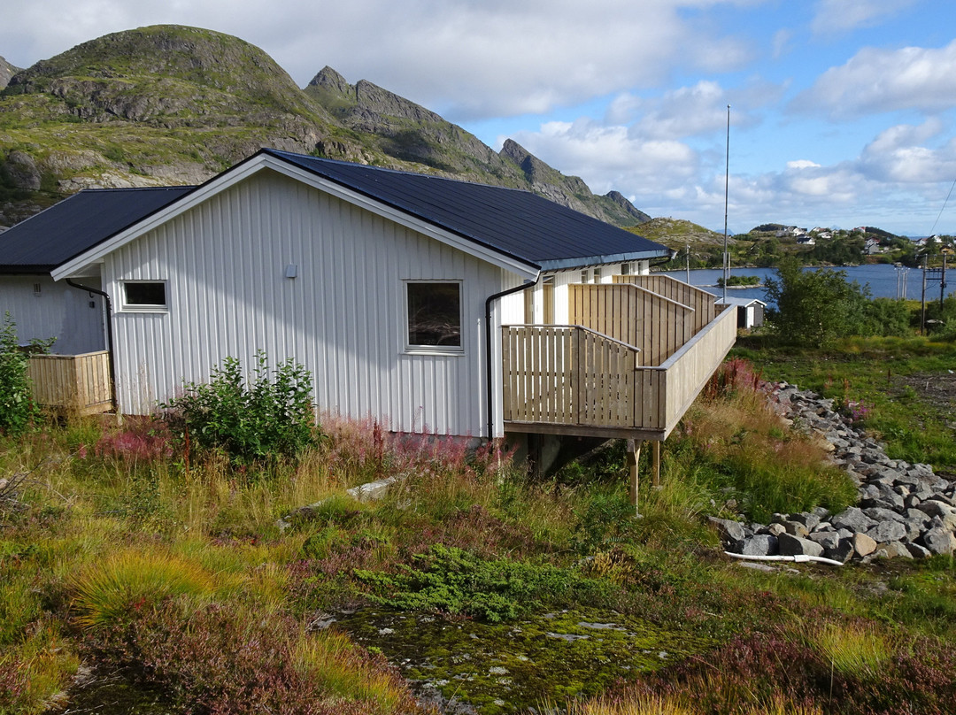 Modern & Cozy Apartments Close To Nature, West Lofoten
