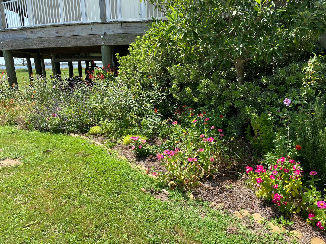 Gulf State Park Nature Center-橙色海湾必去景点