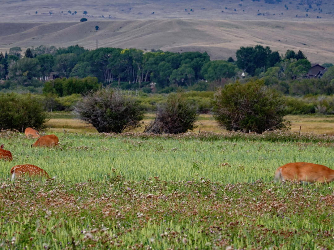 Rainbow Valley Lodge主图