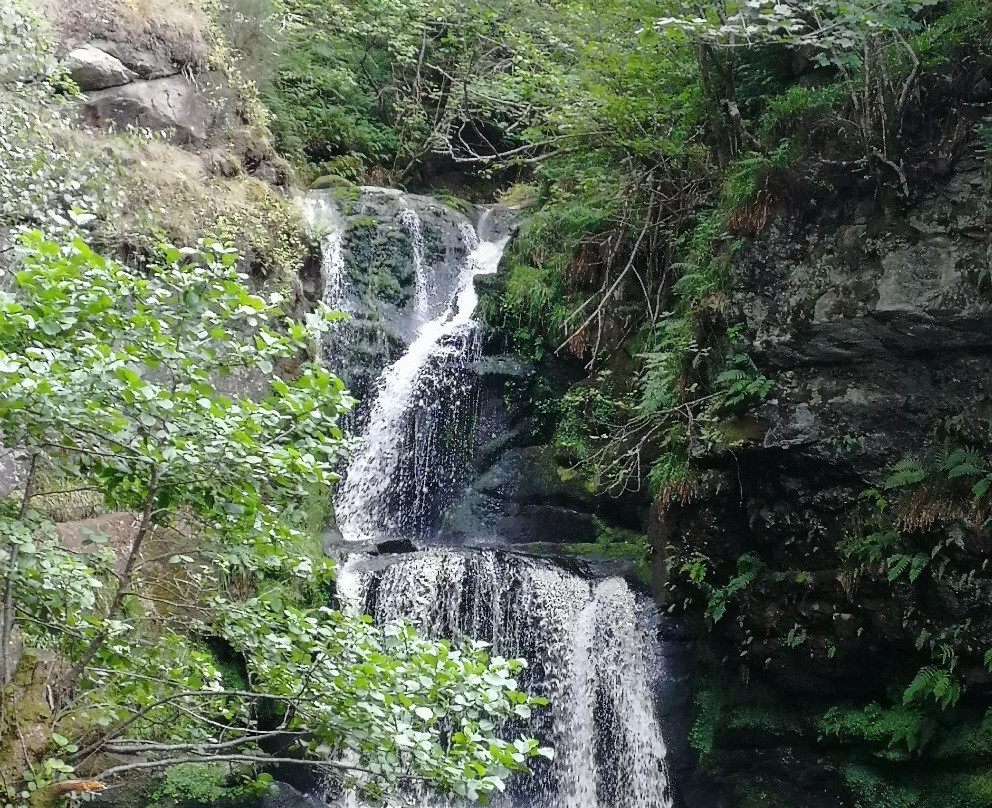 The Linn Falls-阿伯劳尔必去景点