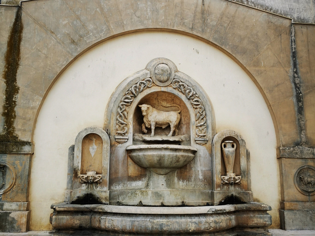 Fontana Del Toro-纳尔德奥必去景点