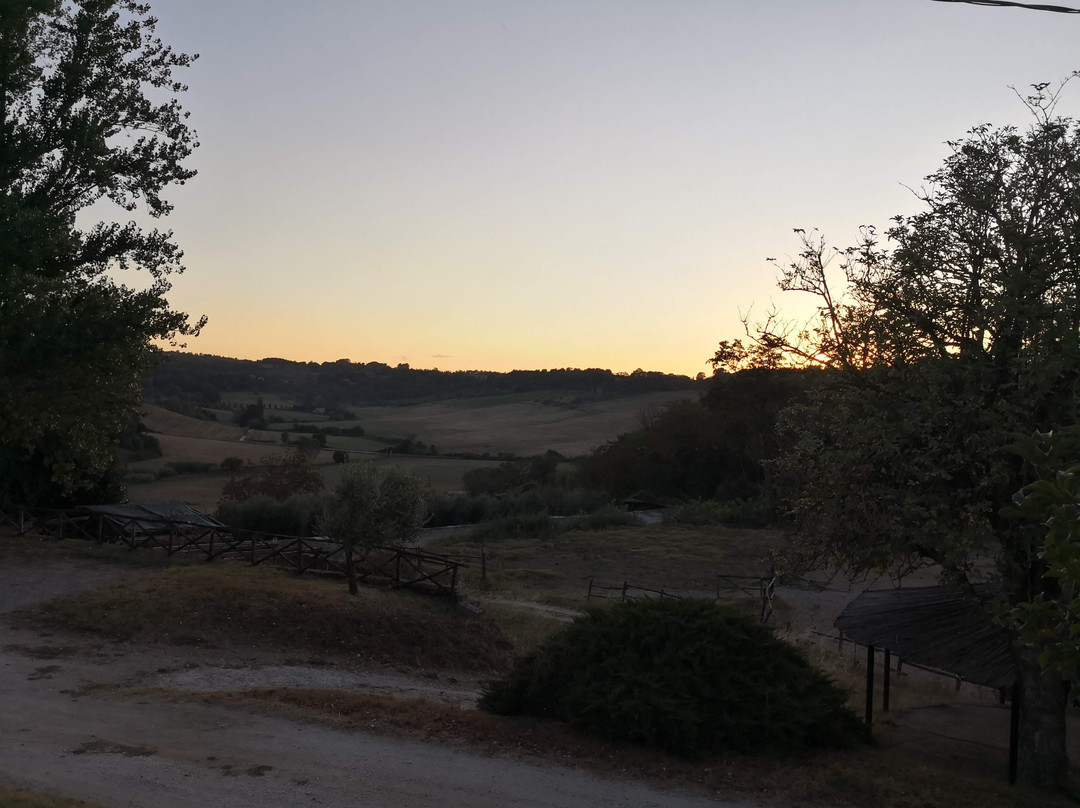 Fattoria La Cacciata主图