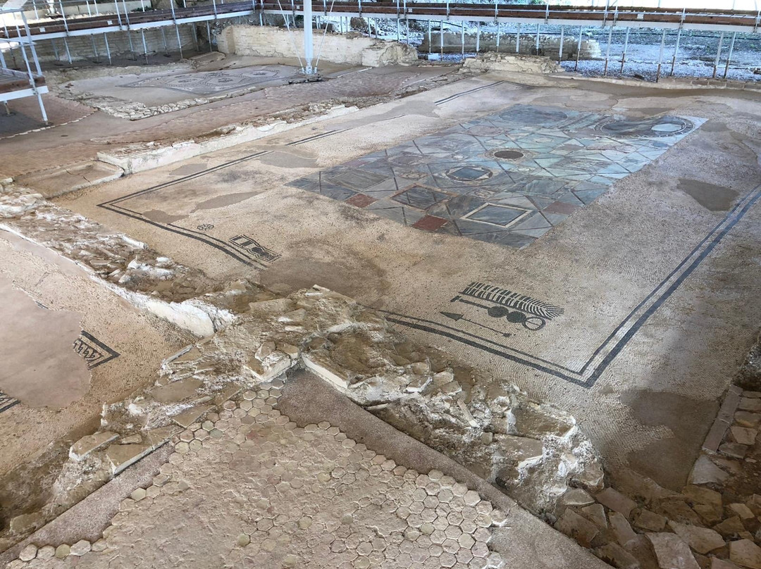 Parco Archeologico Della Città Romana Di Suasa景点图片