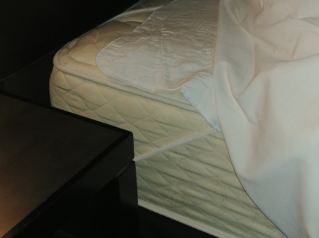 时代大饭店主图