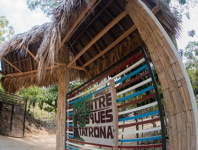 Entre Bosques Tayrona主图