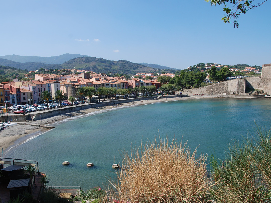 Plage de Collioure景点图片