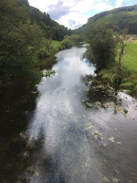 Naturpark Obere Donau景点图片